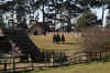 boh_045small.jpg (478803 bytes)