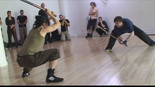 Fight training